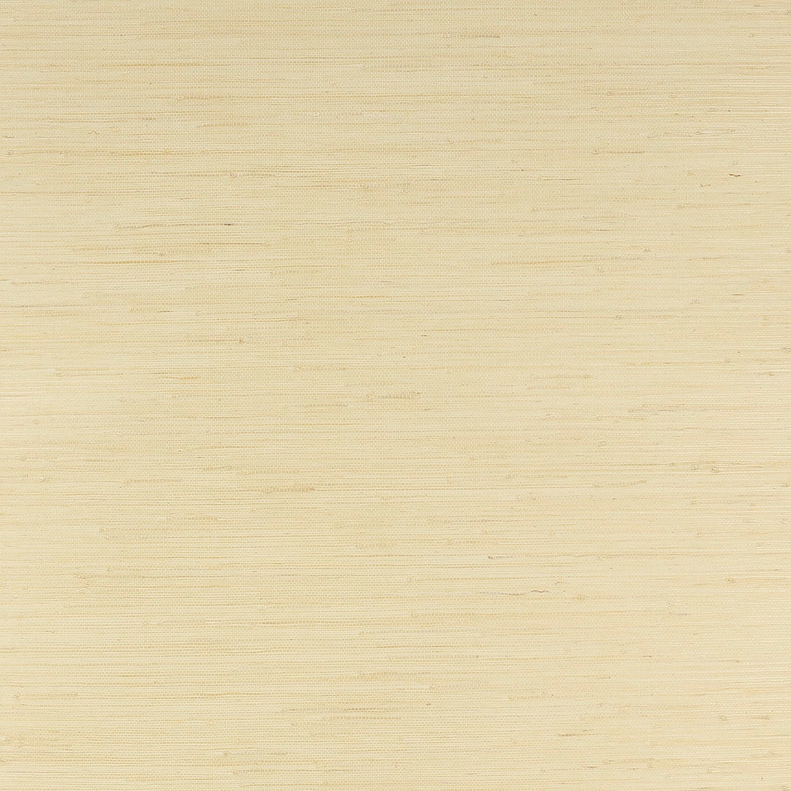 Warm parchment cream grasscloth with fine horizontal jute weave and natural fibre flecks