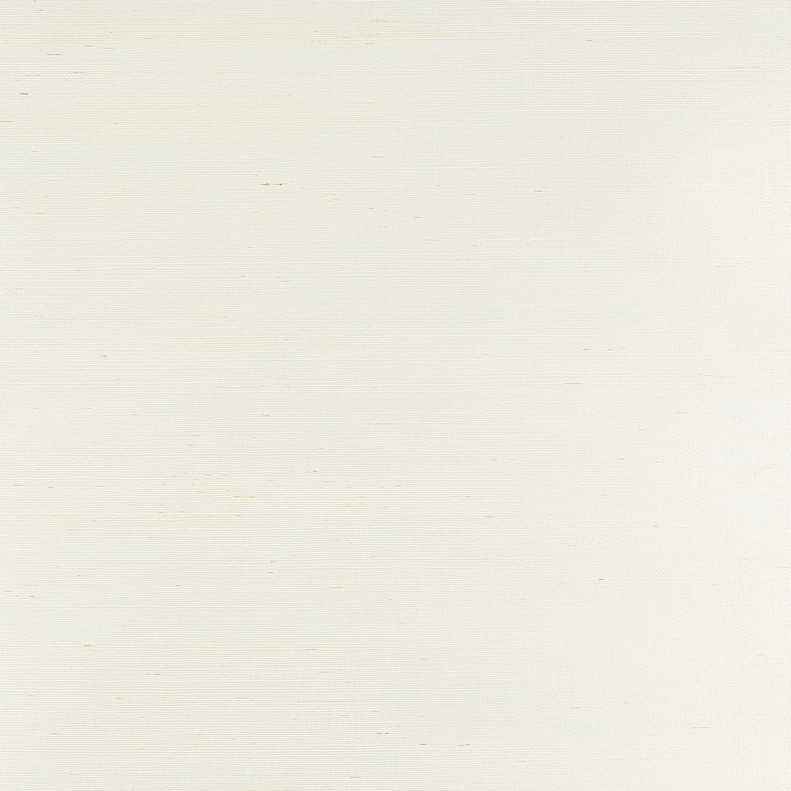 Pale platinum wallpaper with fine horizontal sisal texture and subtle natural flecks