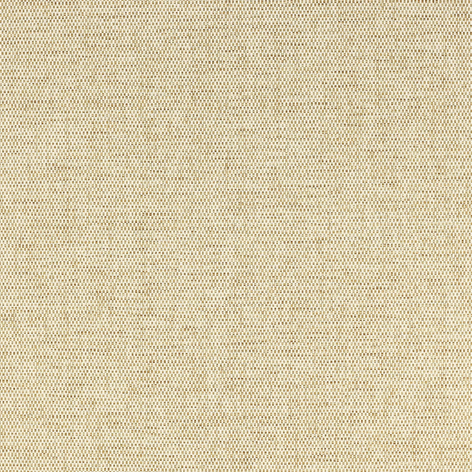 Warm straw beige wallpaper with fine dark stippled texture across the surface