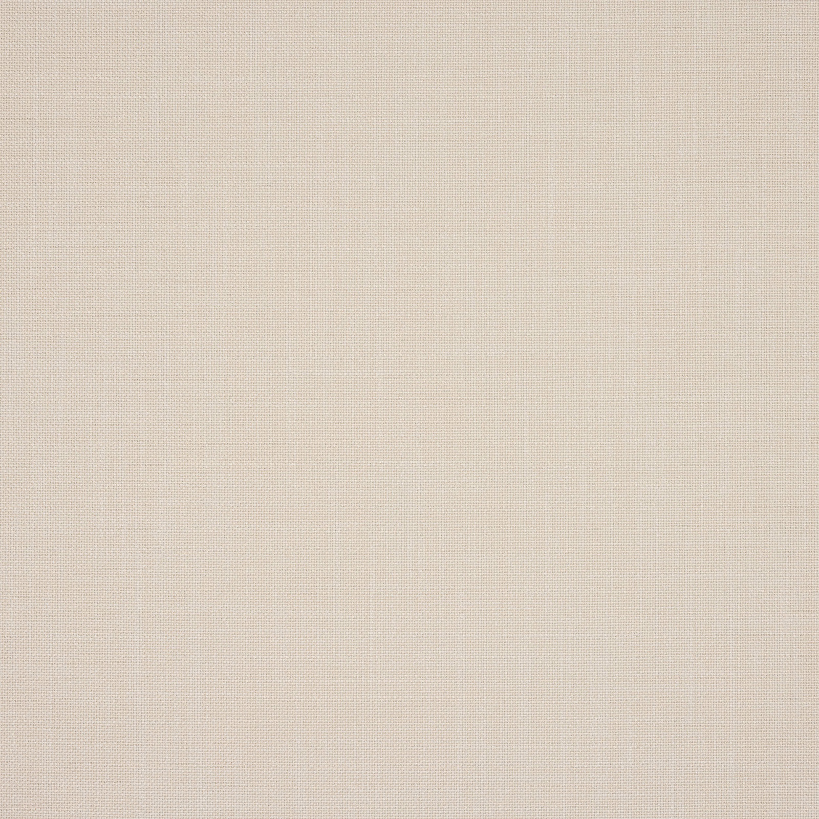 Cream ivory plain-woven fabric swatch with a fine, even texture
