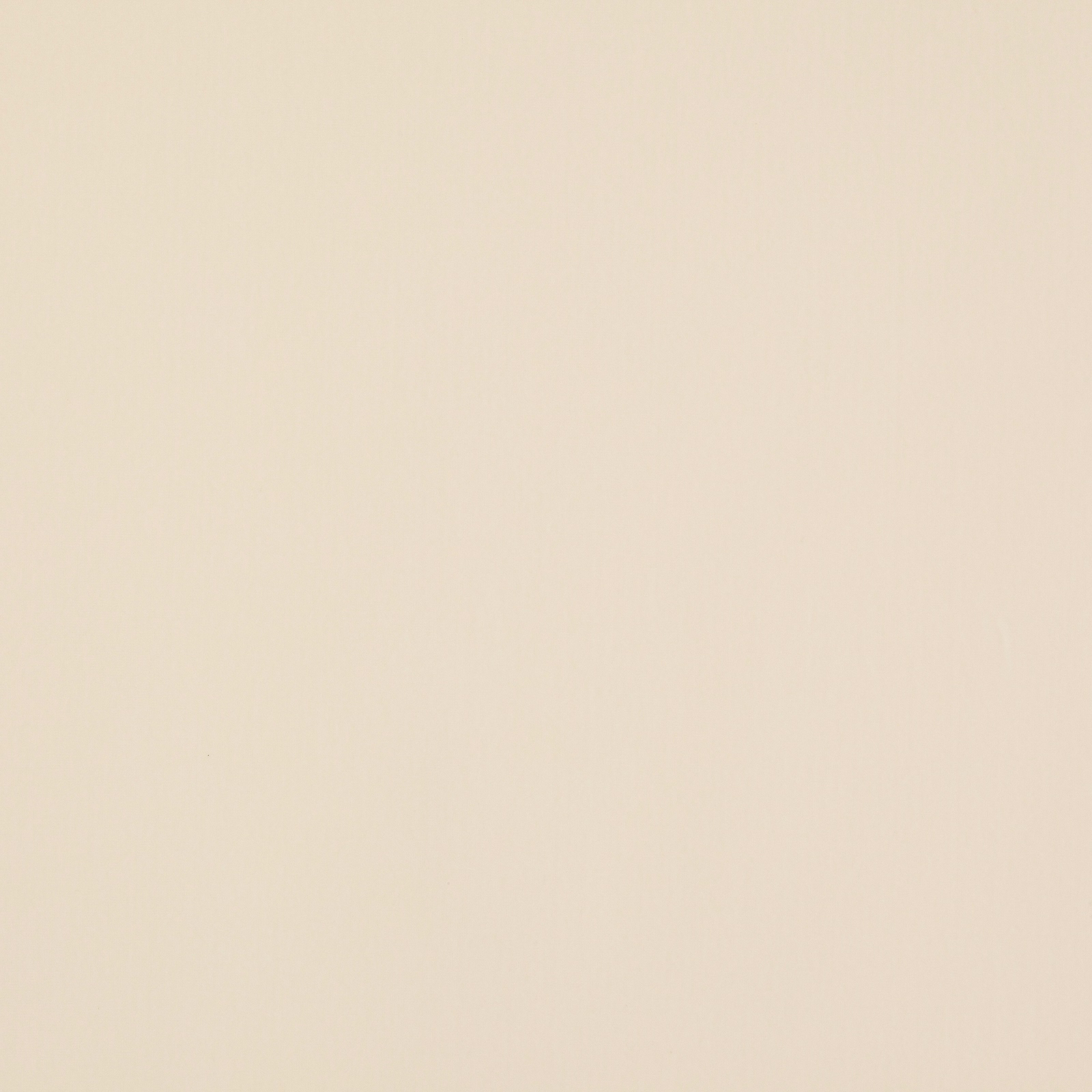 Pale ivory cotton velvet swatch with a smooth, matte-sheen surface