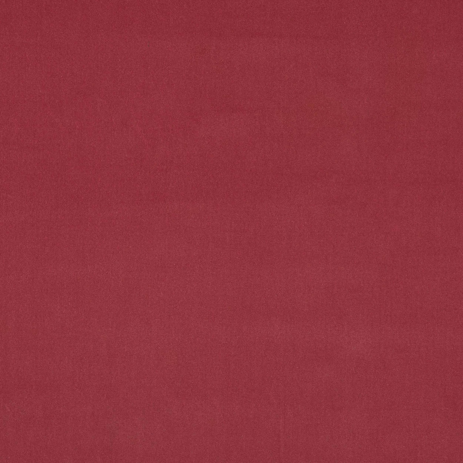 Close-up of a dusty rose pink plain velvet swatch with soft pile