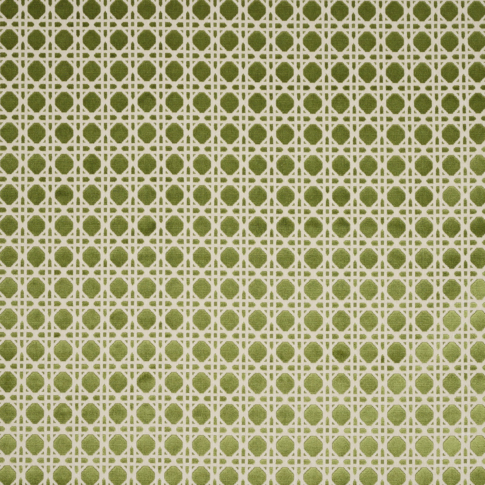 Olive green geometric fabric with cream lattice and small circular motif