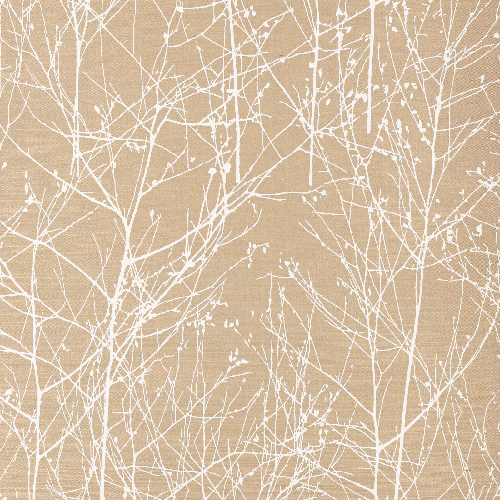 Warm birch beige wallpaper with dense ivory winter branches and fine natural texture