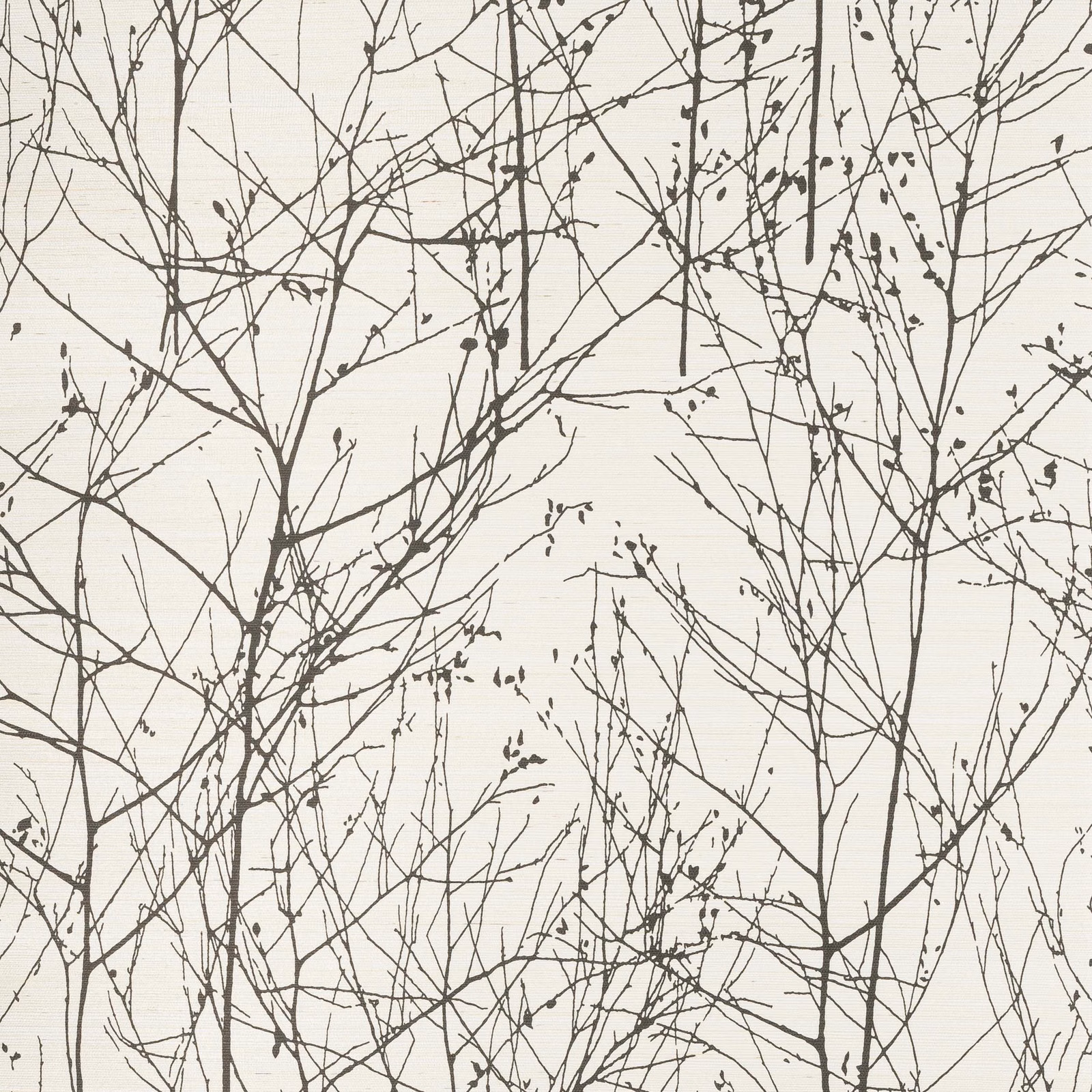 Ivory sisal wallpaper with dense ebony bare branches and tiny scattered buds