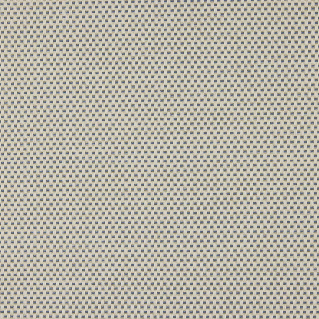 Pale off-white fabric with a tiny ciel blue woven check pattern