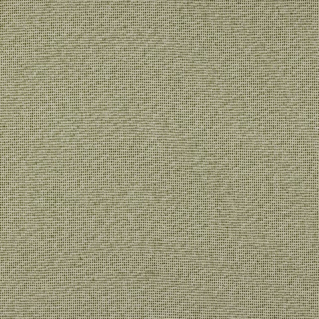 Close-up of muted cactus green plain weave fabric with fine textured surface