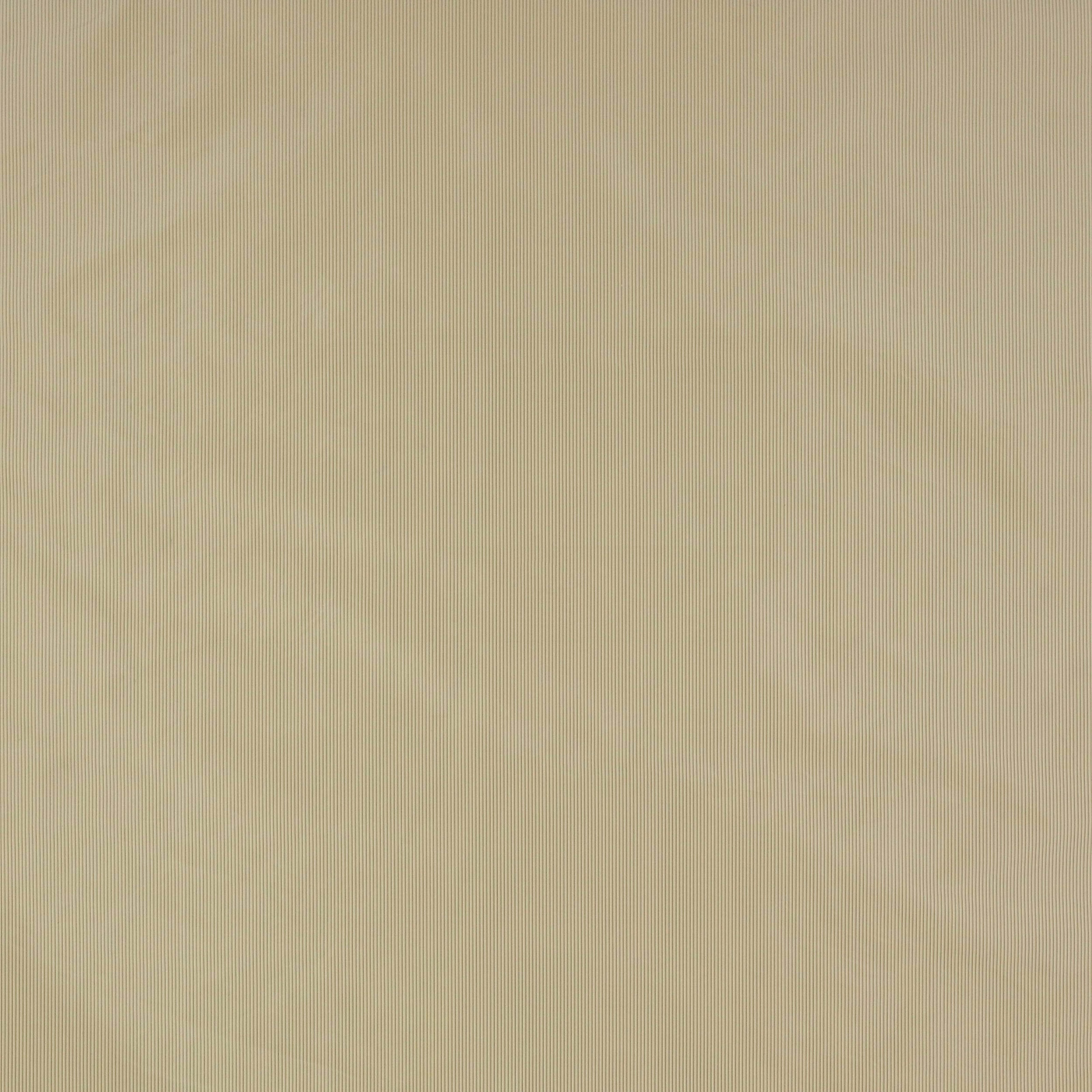 Soft warm beige silk swatch with fine vertical ribbed texture
