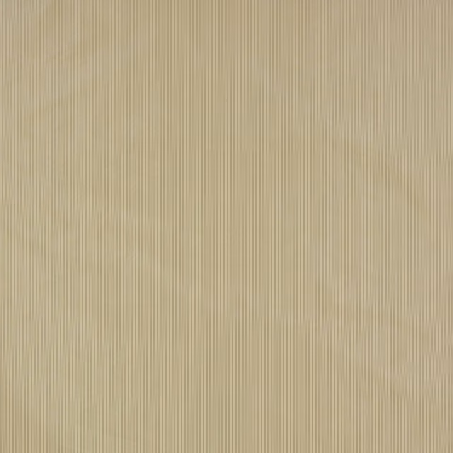 Soft warm beige silk swatch with fine vertical ribbed texture