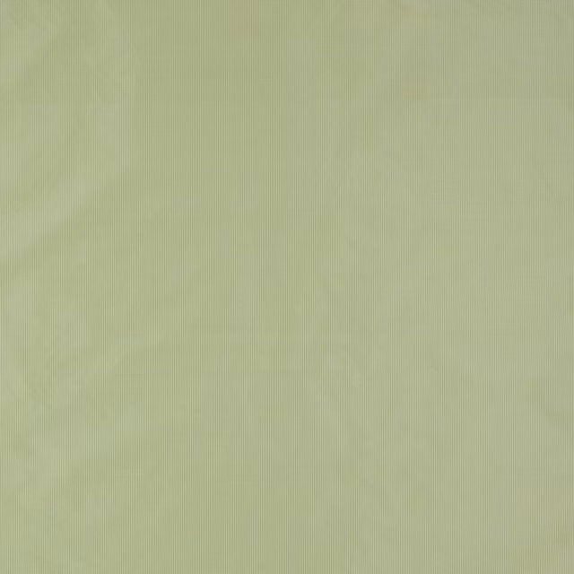 Pale leaf-green silk fabric with fine vertical ribbing and subtle sheen