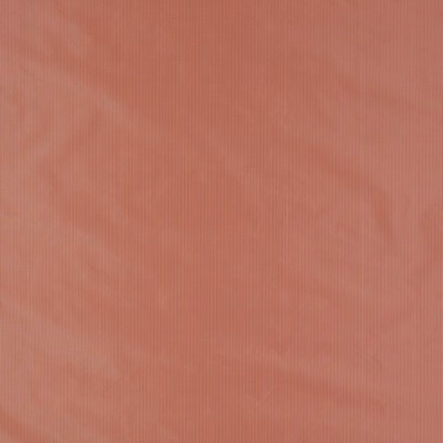 Muted coral-red silk with fine vertical ribbed texture and soft sheen