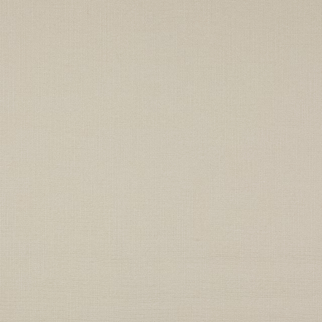 Pale ivory plain woven fabric swatch with fine texture and soft cream tone