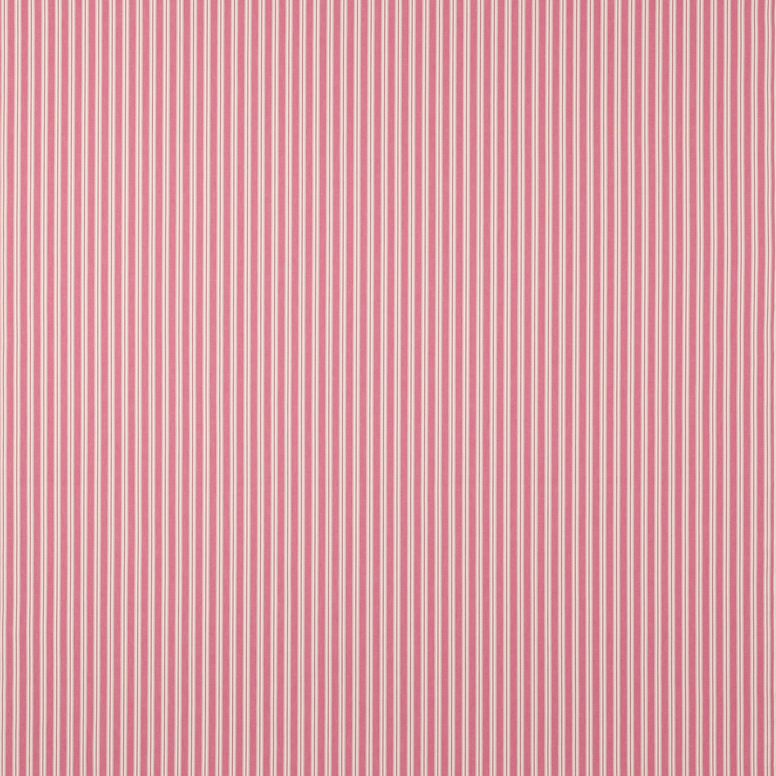 Vertical hot pink and pale cream pinstripes on a cotton fabric swatch