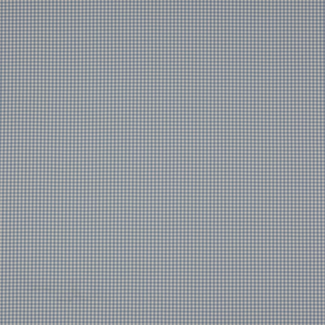 Small blue-and-white check cotton fabric swatch with a soft, muted weave