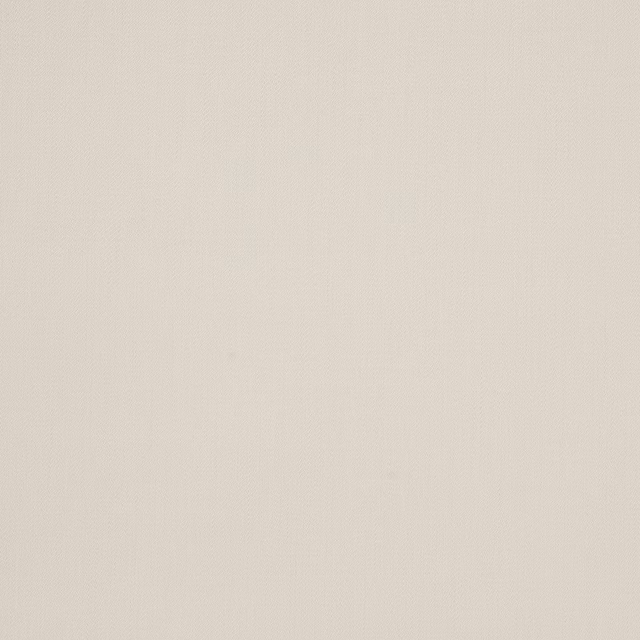 Pale birch cream wool fabric with a smooth plain weave