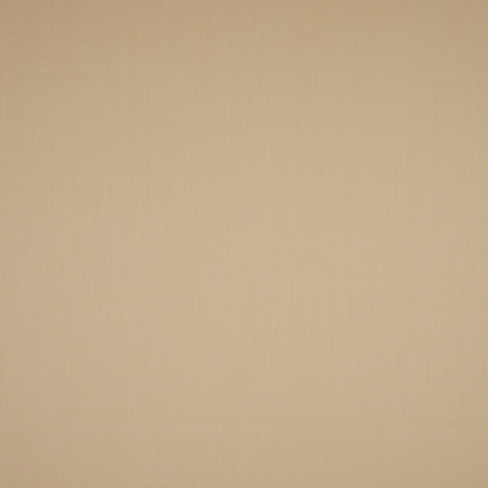 Pale warm beige wool swatch with a fine matte weave