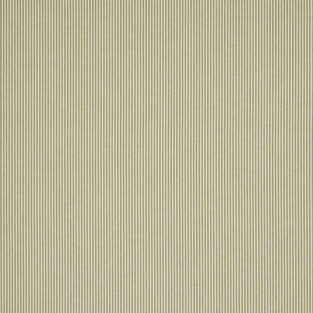 Fine vertical olive pinstripes on a muted green fabric swatch