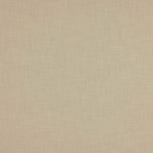 Pale silver-cream plain woven fabric with a fine natural texture