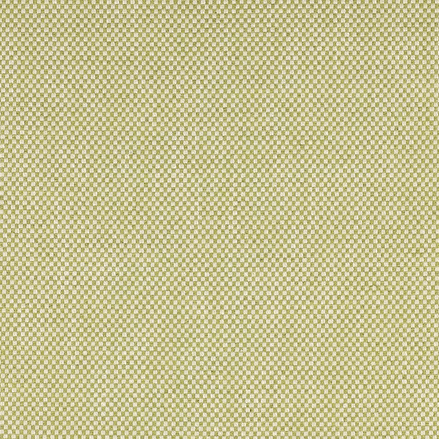 Close-up of soft moss green and cream small check woven fabric