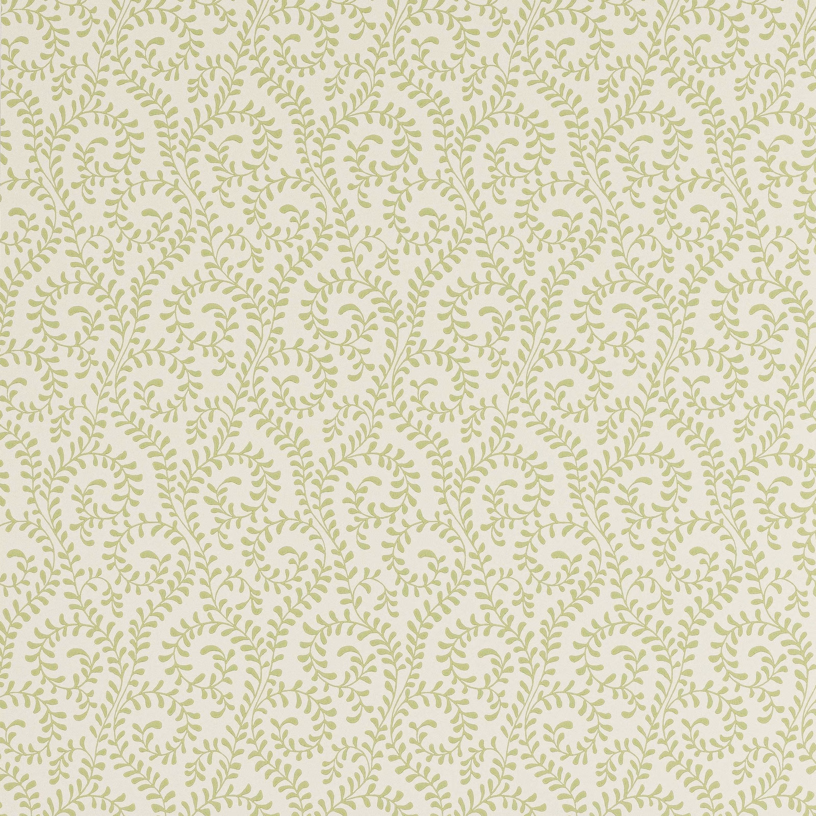 Pale cream wallpaper with muted sage-green scrolling leaf and fern motifs
