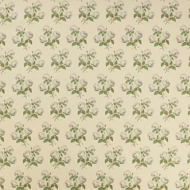 Cream chintz fabric with small grey-white roses and muted green leaves
