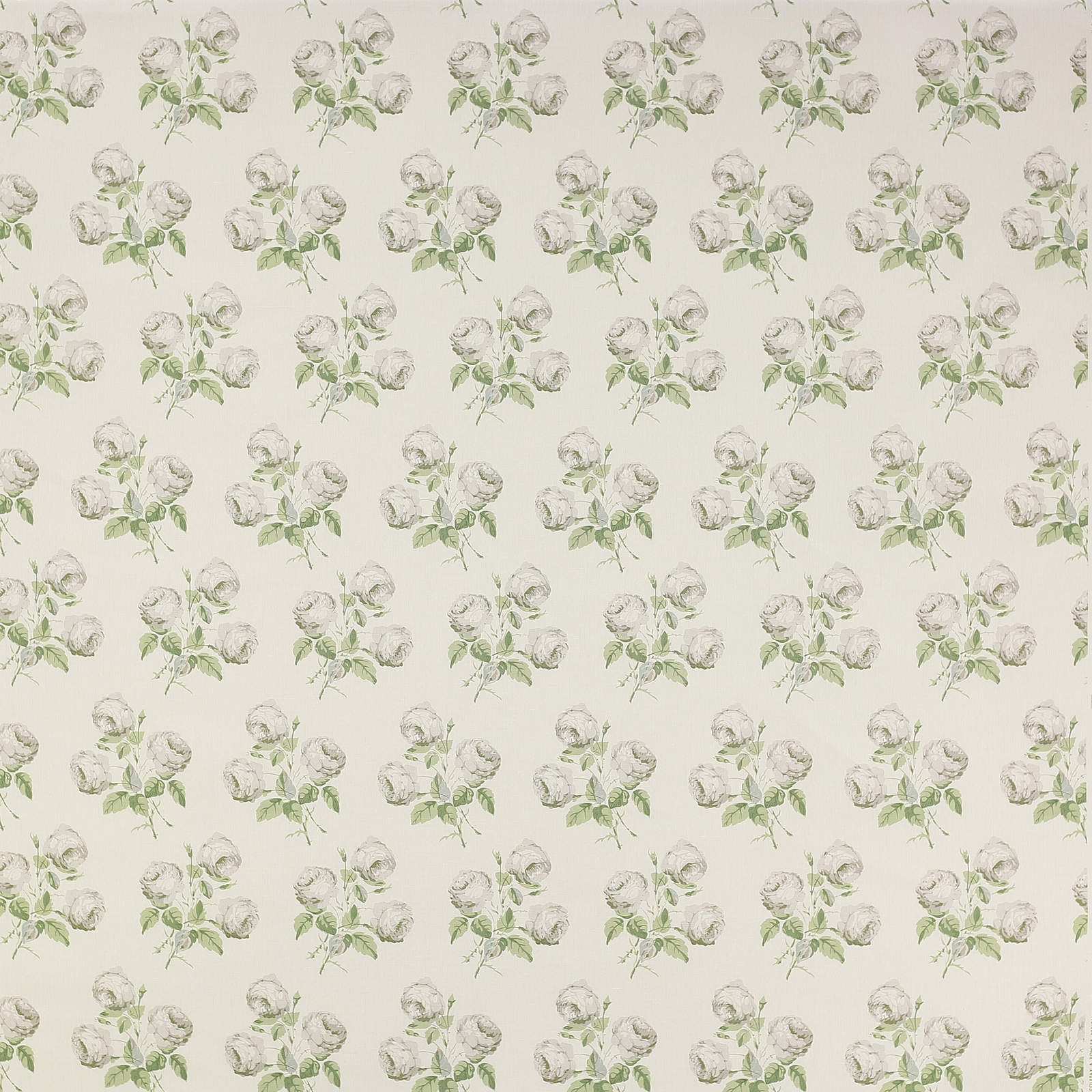 Pale cream floral fabric with small silver-grey roses and soft green leaves