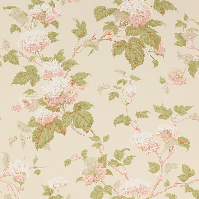 Pale pink blossom clusters, sage leaves and fine pink branches on a cream ground