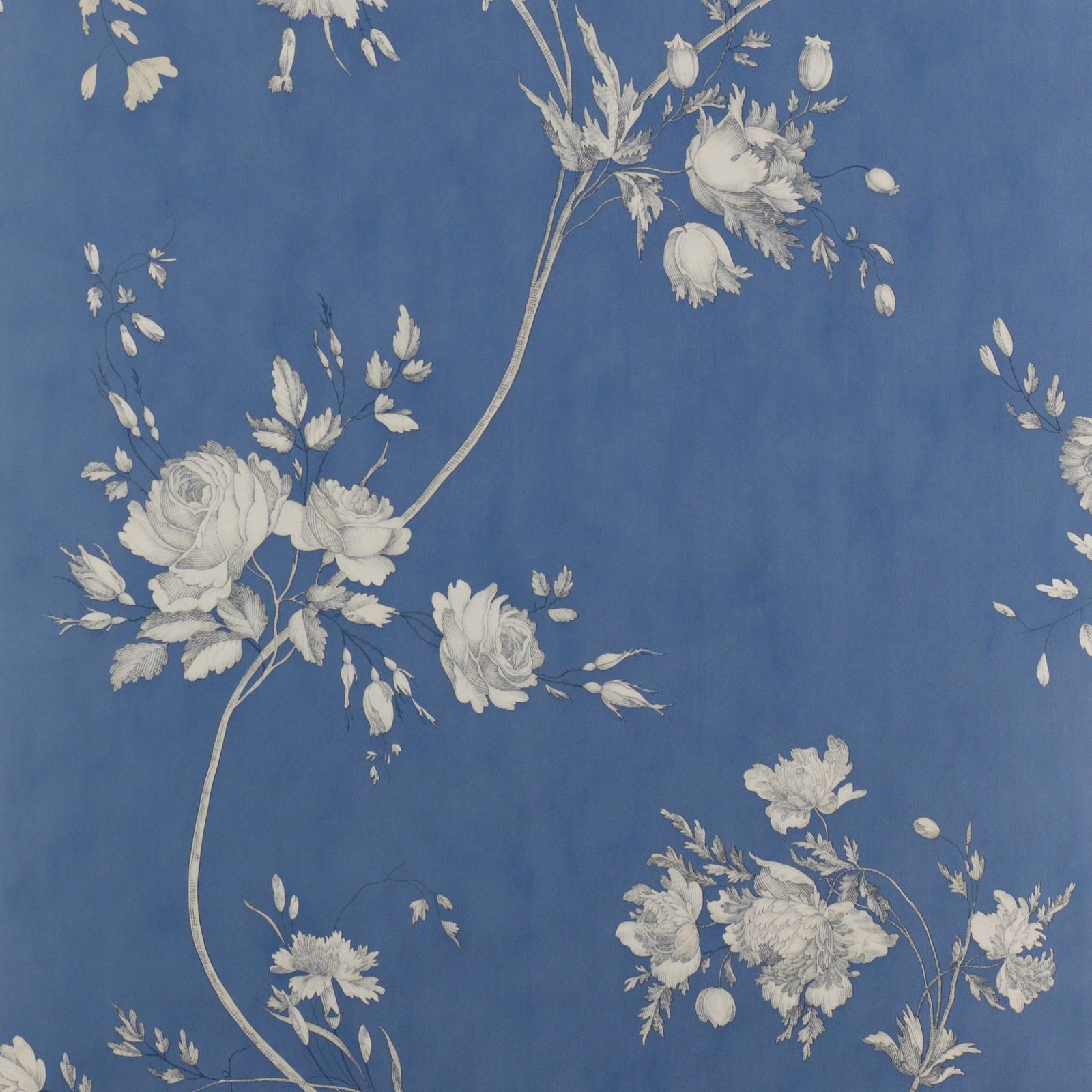 Dusty navy wallpaper with sweeping ivory roses, leaves and botanical floral sprays
