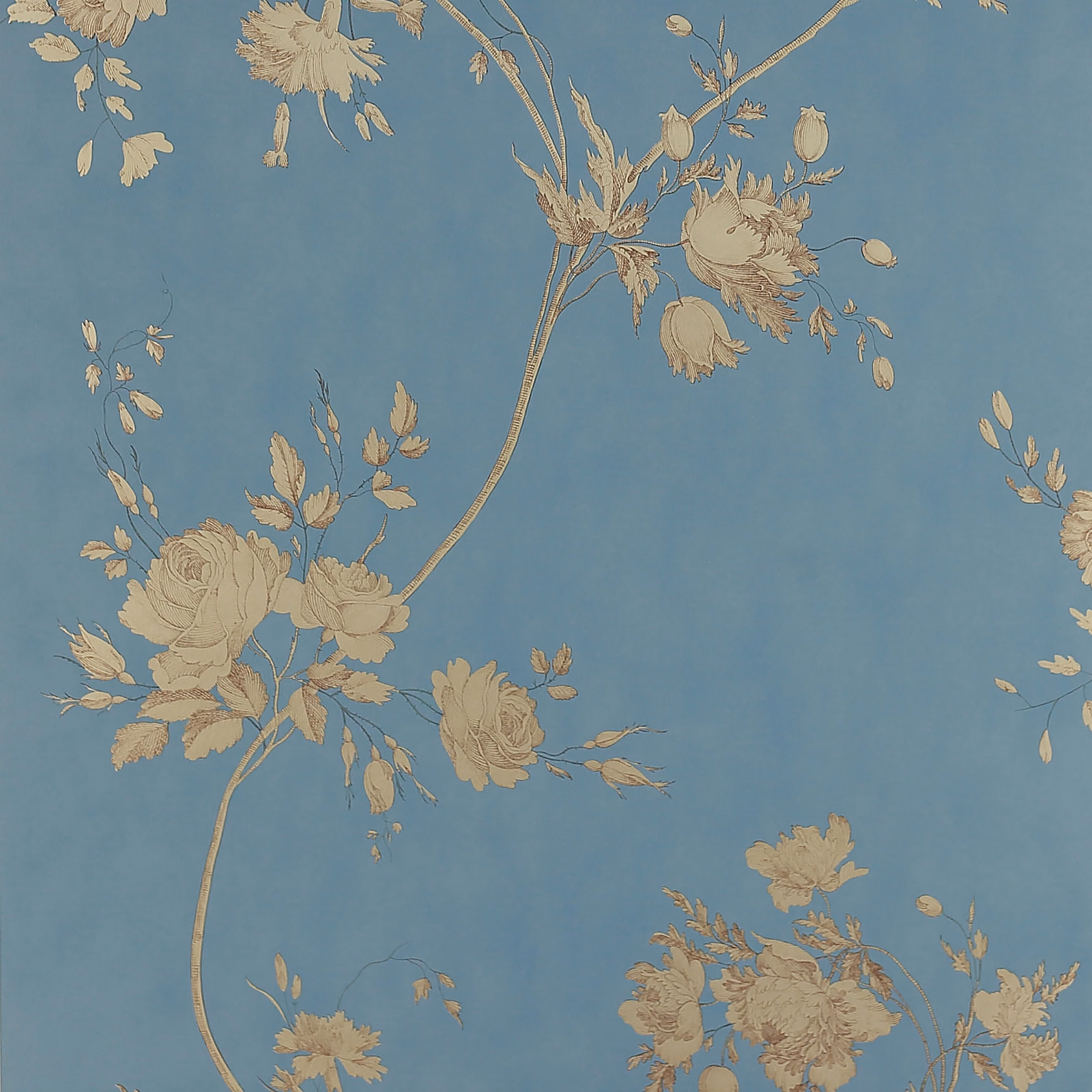 Muted blue wallpaper with beige roses, curling stems and airy botanical sprays