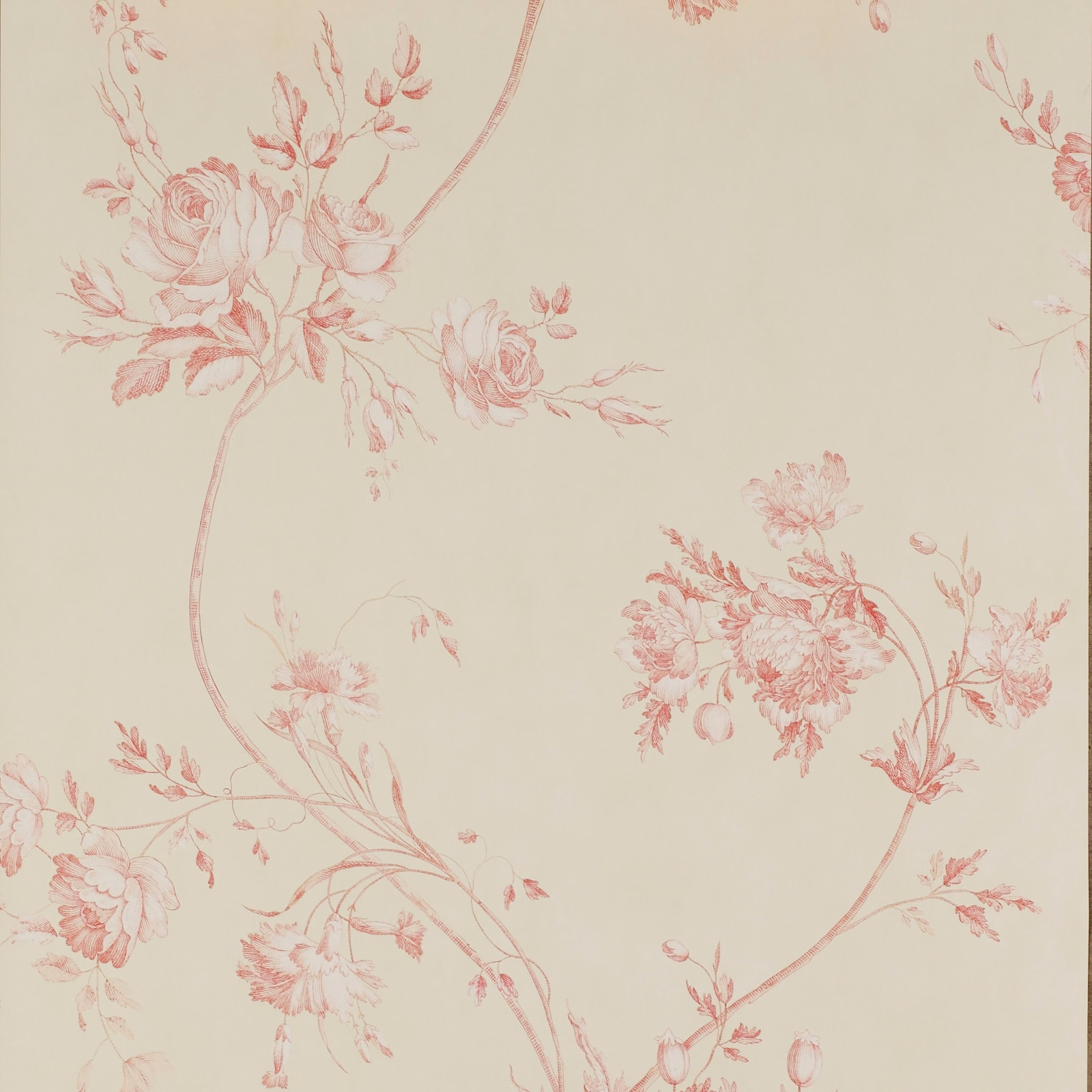 Ivory wallpaper with dusty rose-red roses, trailing stems and clustered floral sprays