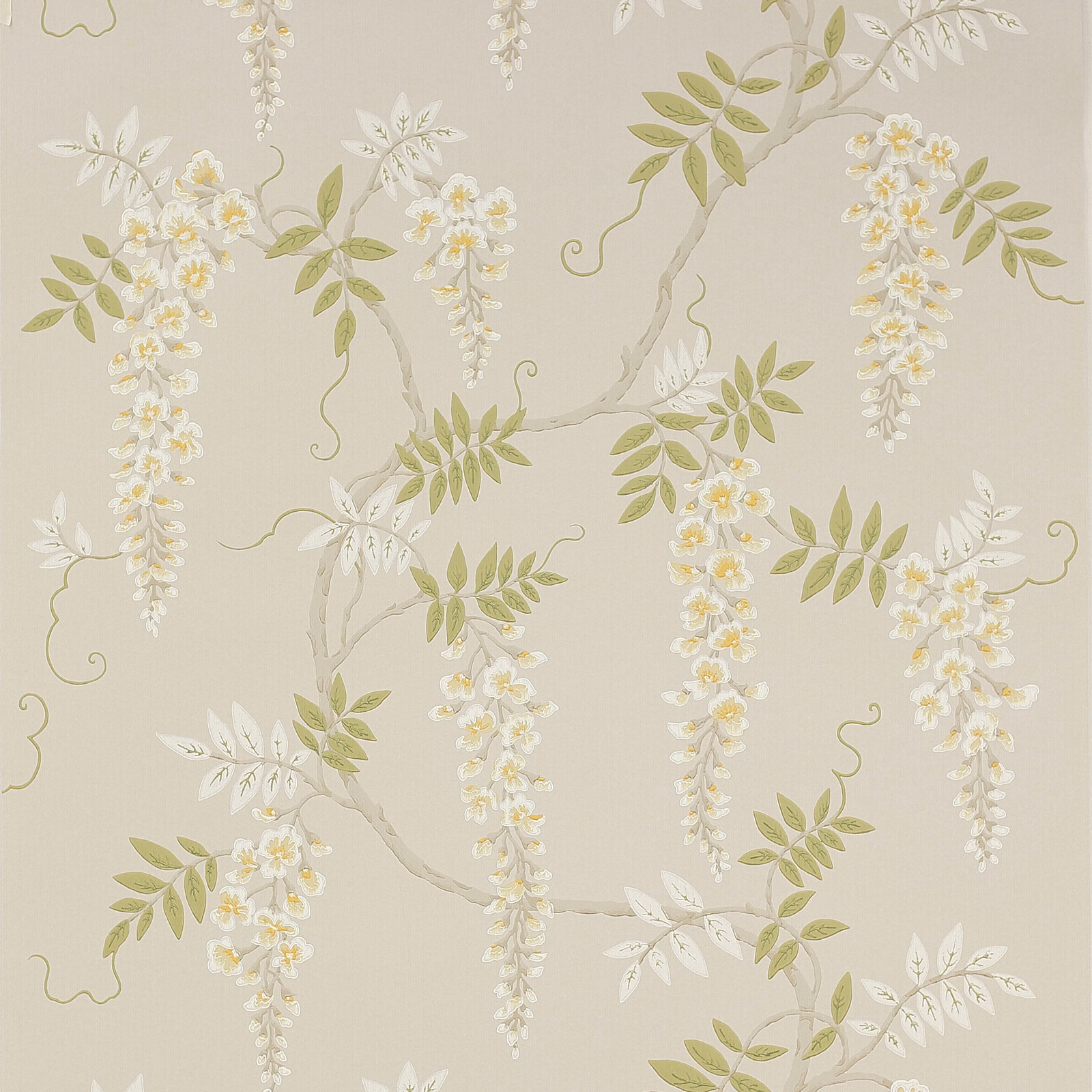 Gold wallpaper with olive leaves, ivory wisteria sprays and a warm taupe ground