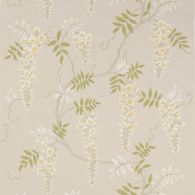 Gold wallpaper with olive leaves, ivory wisteria sprays and a warm taupe ground