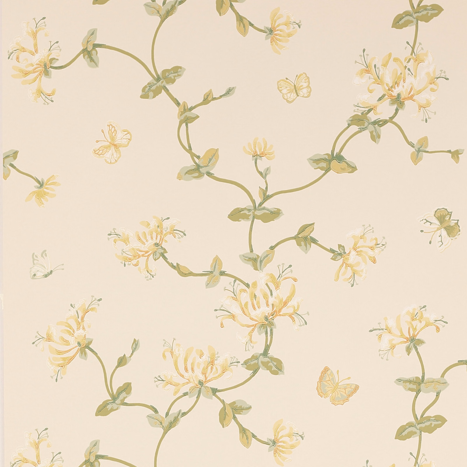 Cream wallpaper with soft gold honeysuckle flowers, sage vines and small butterflies