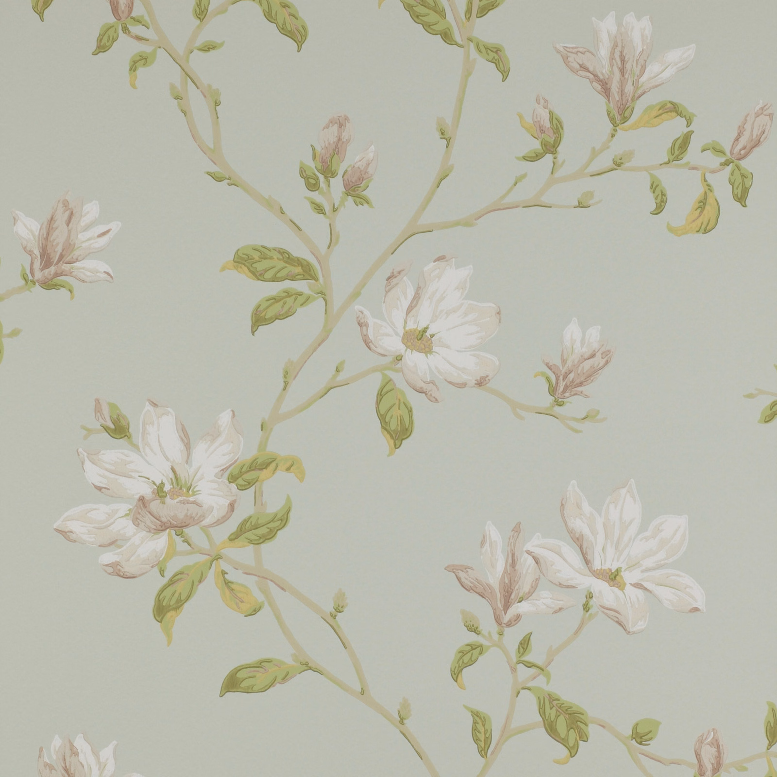 Pale aqua wallpaper with climbing white blossoms, blush petals and sage leaves
