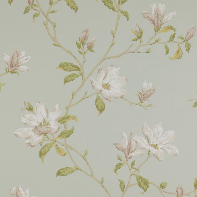 Pale aqua wallpaper with climbing white blossoms, blush petals and sage leaves