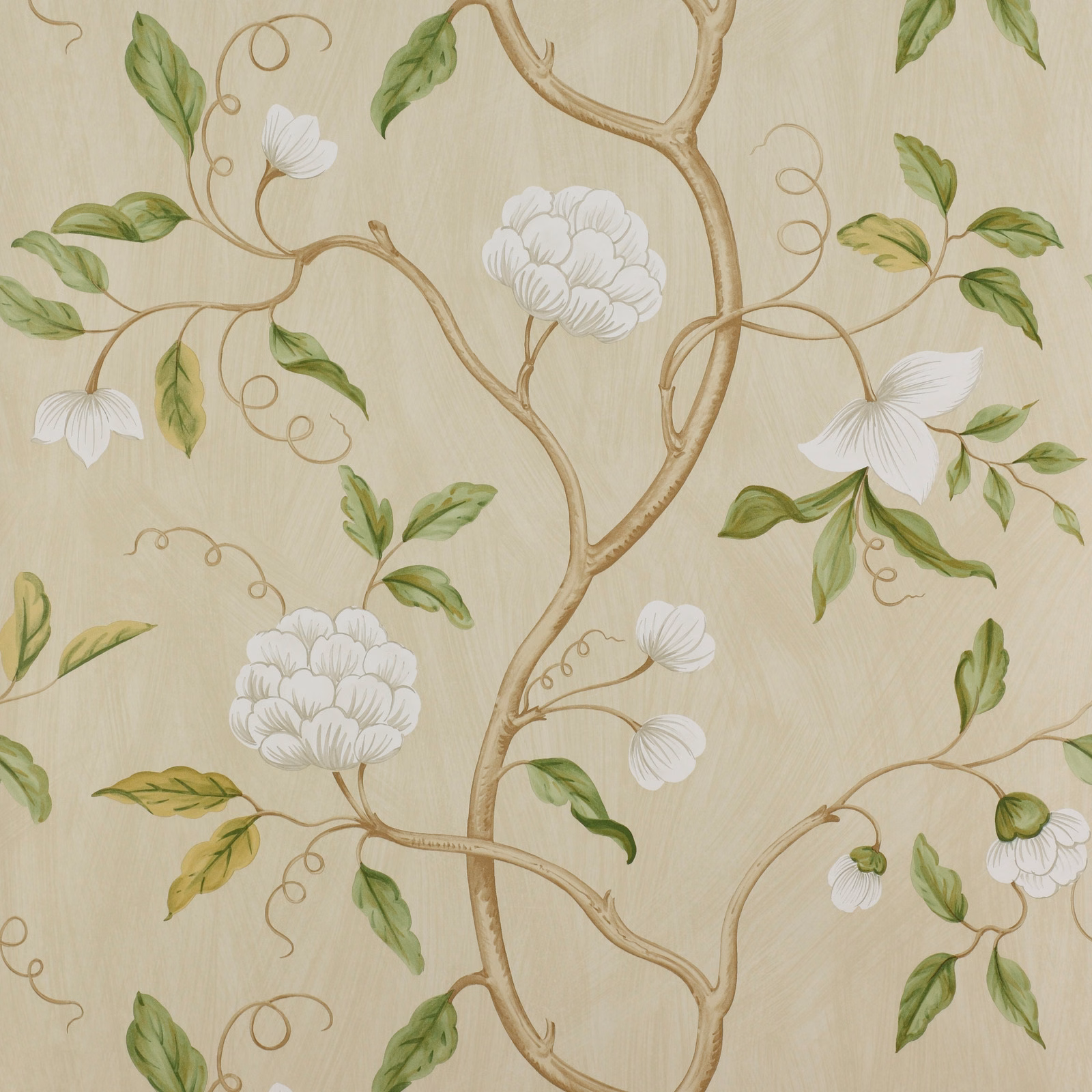 Cream botanical wallpaper with sage leaves, white flowers and looping taupe branches