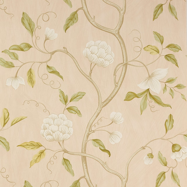 Old pink paper wallpaper with branching vines, white blossoms and pale green leaves