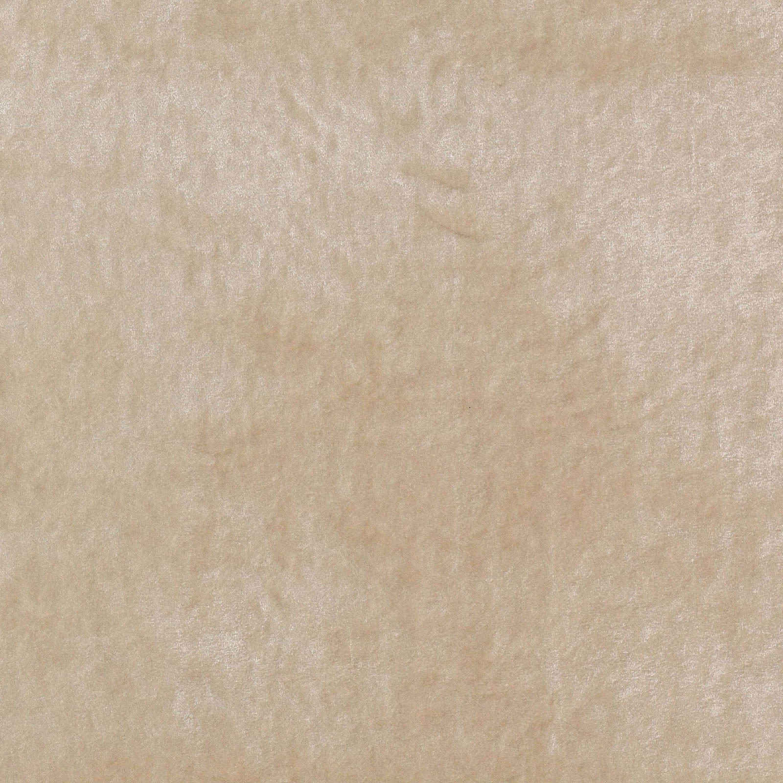 Soft ivory plain fabric with a gentle lustre and cloudy texture
