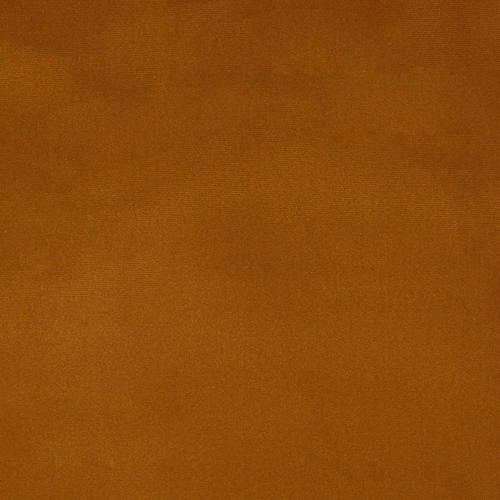 Close-up of a warm honey-gold plain woven cotton fabric
