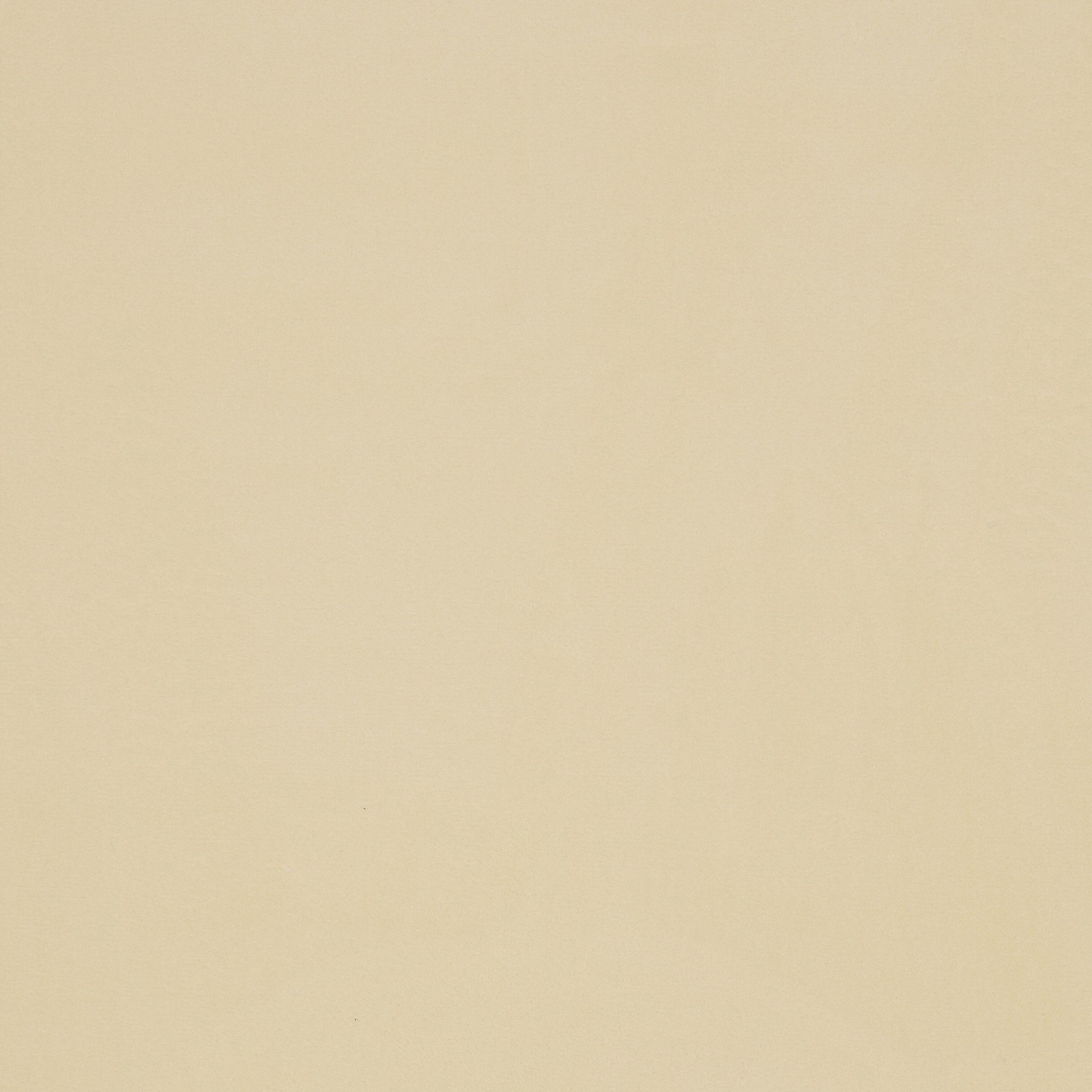 Plain soft ivory cotton fabric swatch with a smooth matte surface