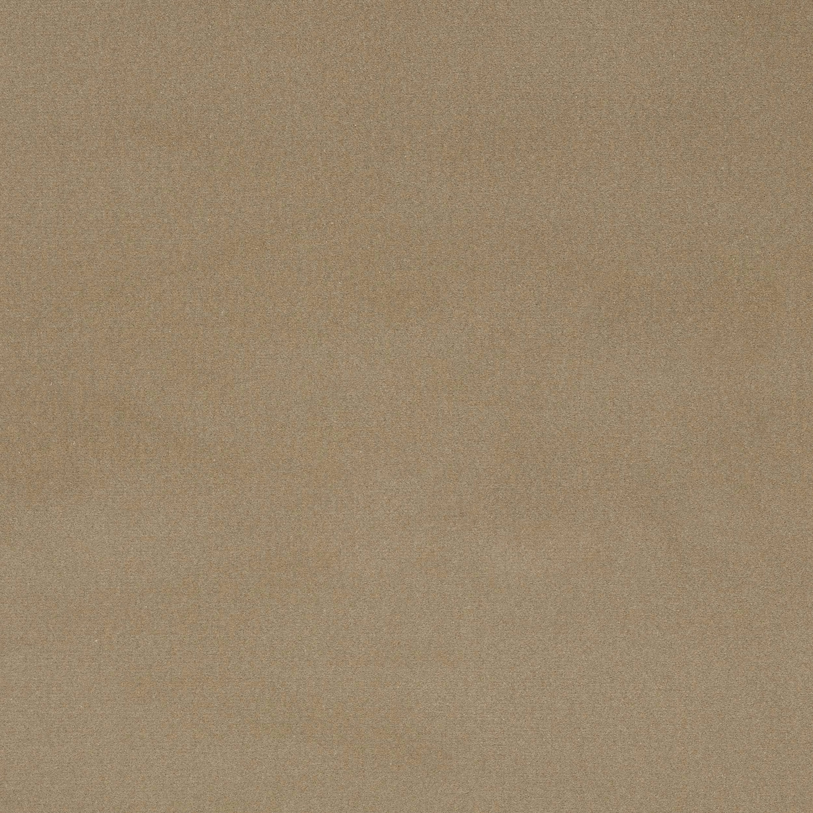 Warm sandy beige plain woven cotton fabric with a matte, linen-like texture