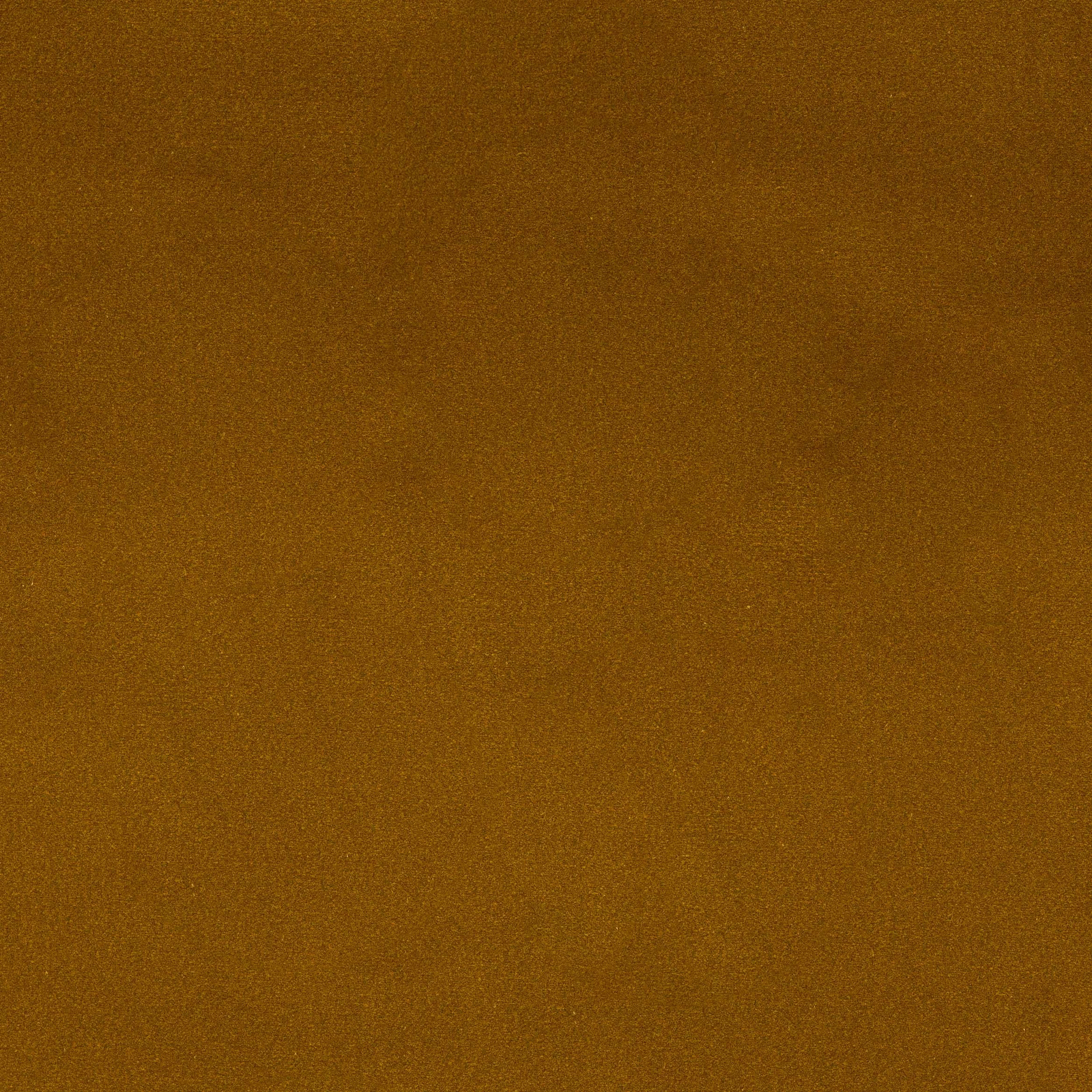 Solid saffron-gold cotton fabric swatch with a softly textured plain weave
