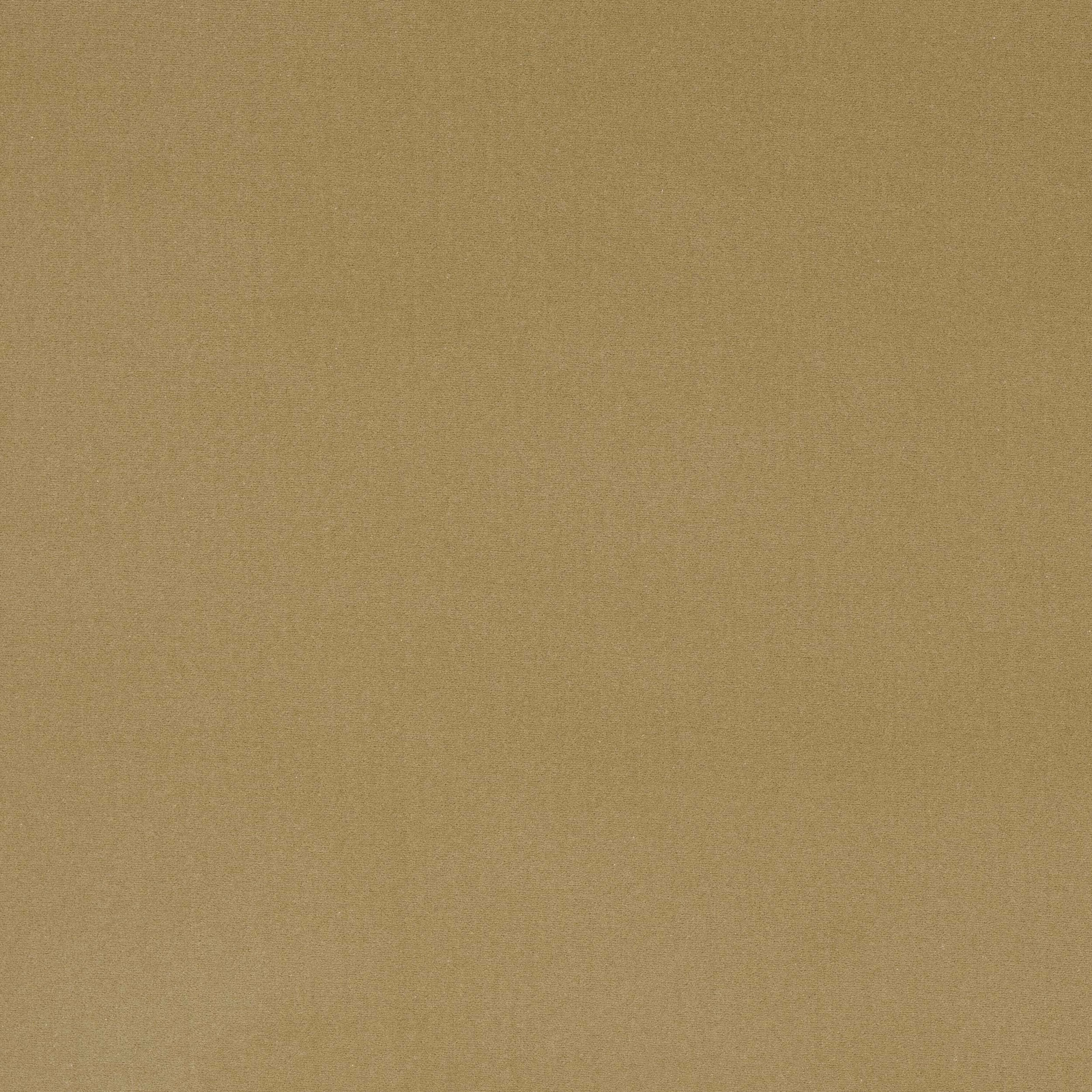 Plain warm sandy beige cotton swatch with a soft matte finish