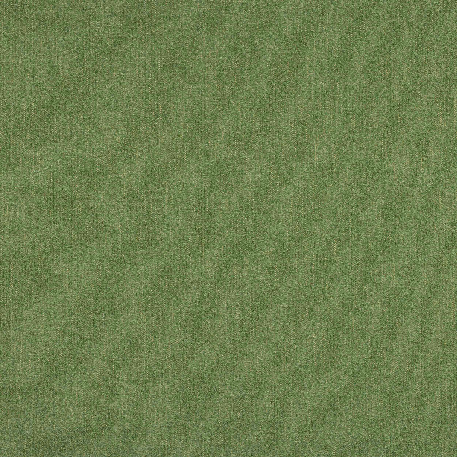 Muted olive green plain woven fabric swatch with a subtle textured finish