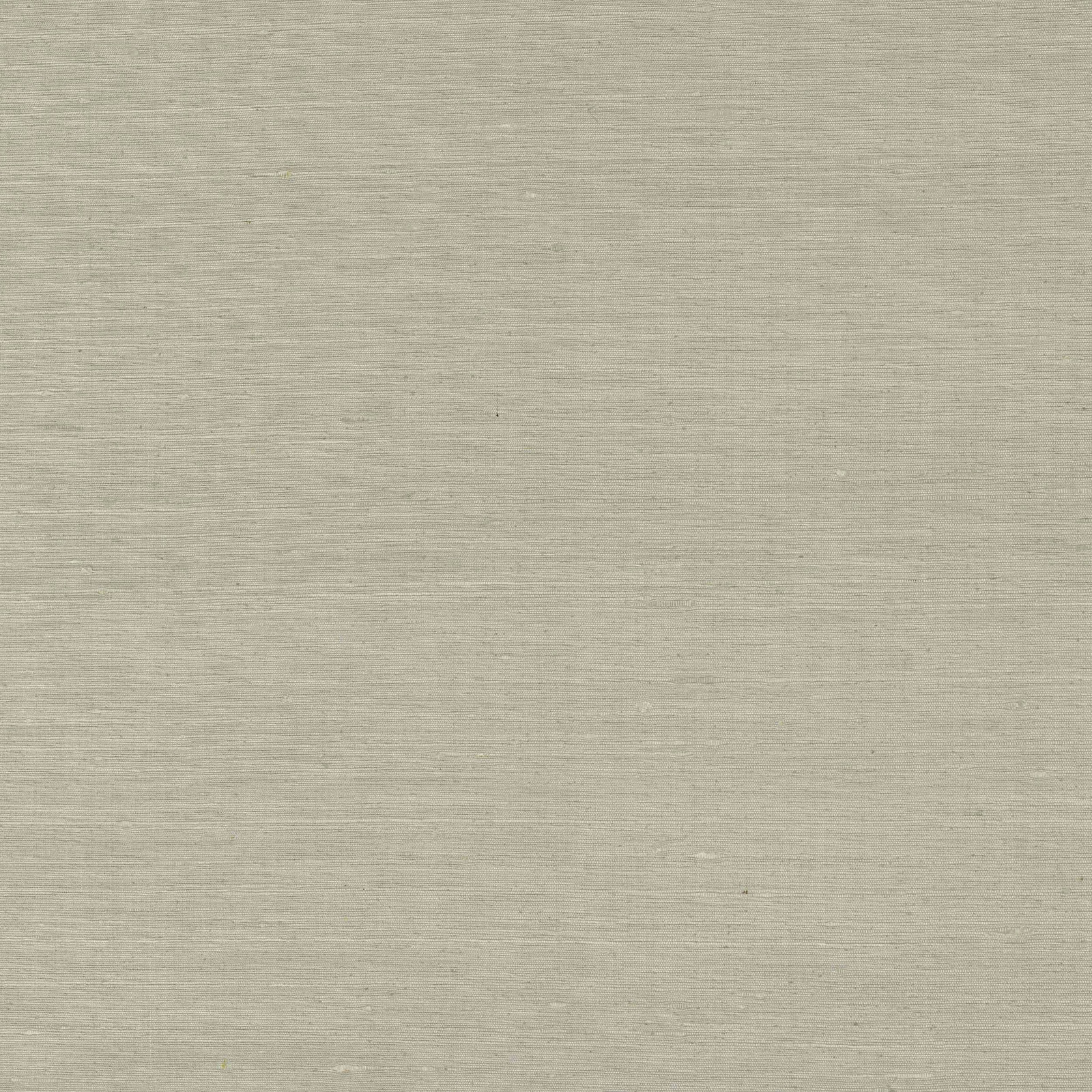 Pale greige silk fabric with fine horizontal slub and soft sheen