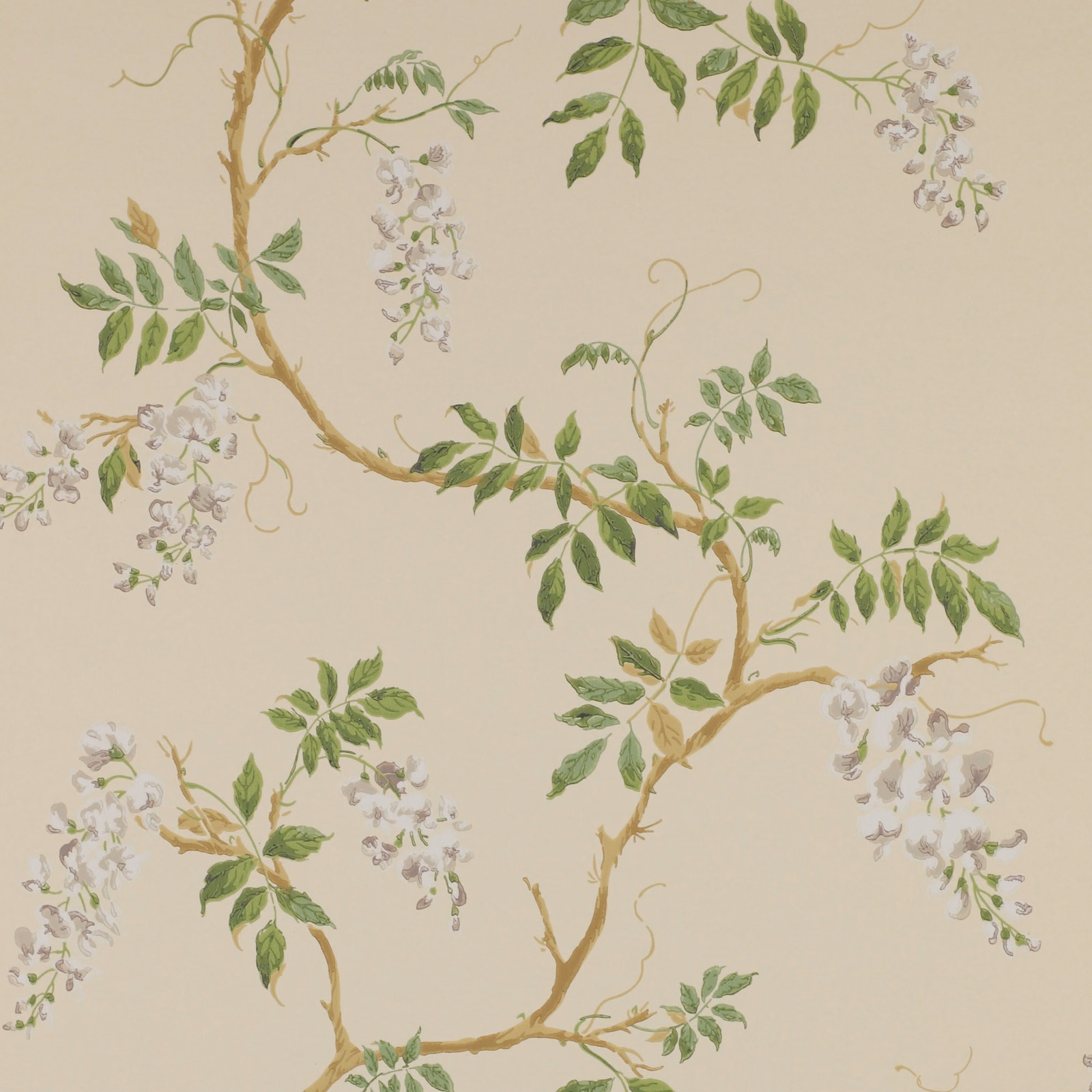 Warm cream wallpaper with sage branches, pale blossoms and trailing botanical sprays
