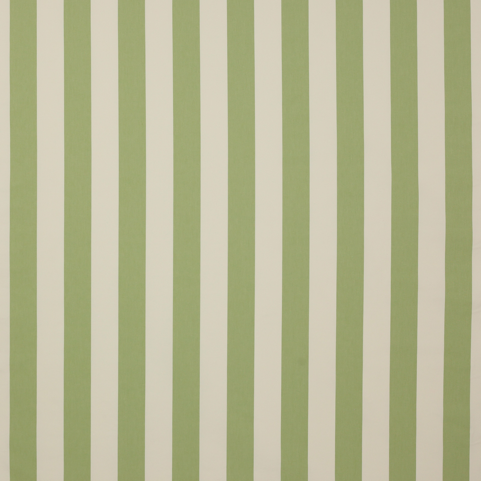 Vertical soft sage green stripes on a warm ivory cotton fabric swatch