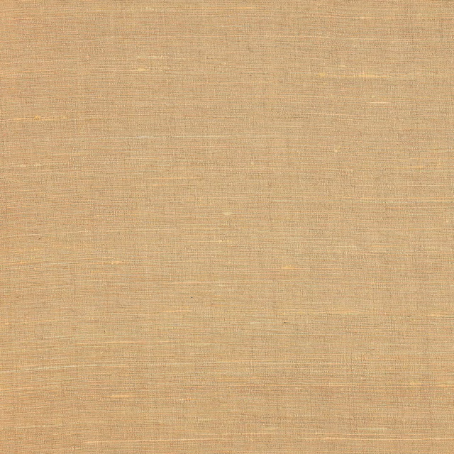 Soft sand-gold silk with a subtle lustre and fine horizontal weave