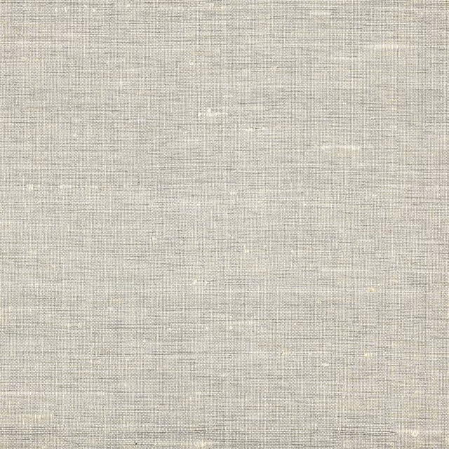 Soft silver-grey silk fabric with a fine plain weave and subtle slub texture