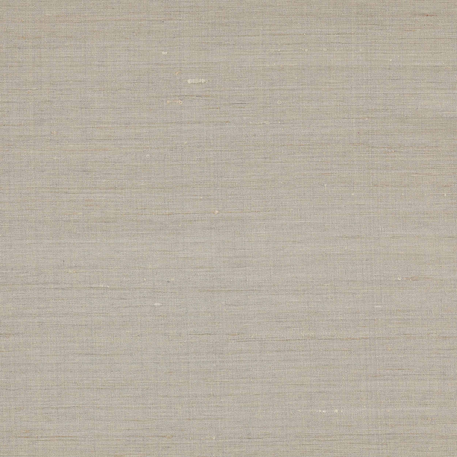 Pale stone-beige silk fabric with a subtle slubbed sheen and plain weave